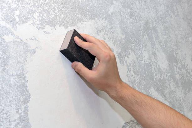  Towson, MD Mold Removal Pros
