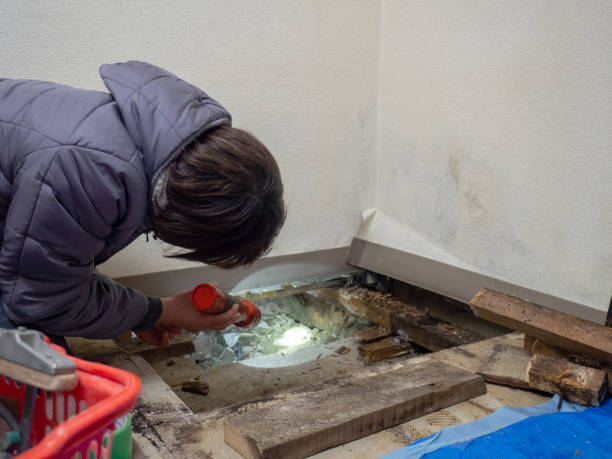 Best Biohazard Mold Removal  in Towson, MD