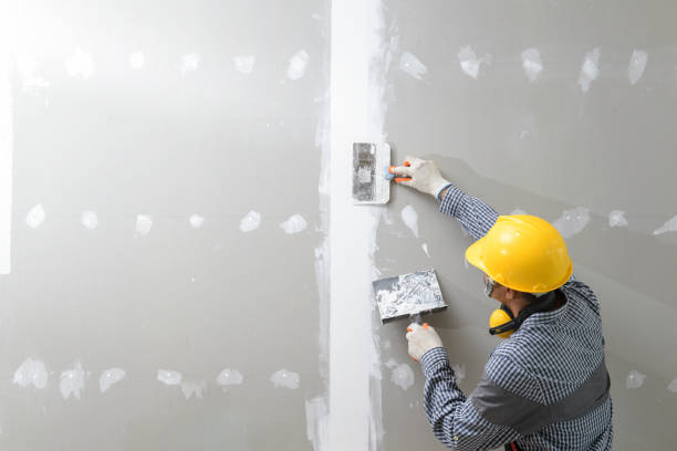 Best Attic Mold Removal  in Towson, MD