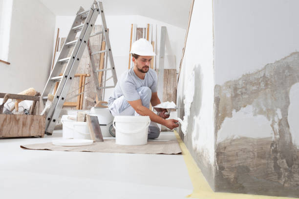 Best Basement Mold Removal  in Towson, MD